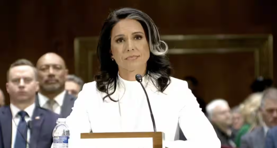 जर्मनी में क्रिसमस बाज़ारों को रद्द किए जाने पर अमेरिकी इंटेलिजेंस प्रमुख तुलसी गैबार्ड ने कहा, 'इस्लामी विचारधारा से पैदा होने वाला खतरा...'।