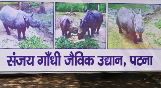 संजय गांधी प्राणी उद्यान का नाम बदला गया; कैबिनेट ने मंज़ूरी दी