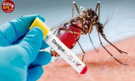 Dengue In Indore: डेंगू वायरस बदल रहा है अपना रूप, लिवर पर भी पड़ सकता है असर